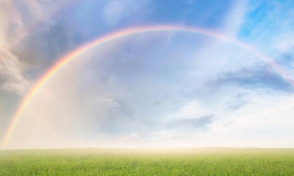 Rainbow